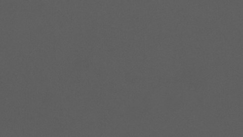 mujer-loteria-donacion-virginia