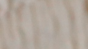 La sonrisa que el abuelo le regaló a su pareja provocó ternura en redes sociales, haciéndose viral en pocas horas.