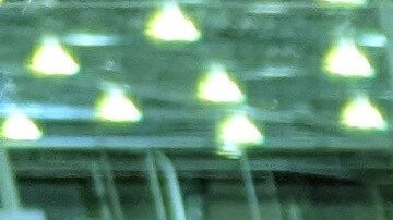 naranjas-costco-desventajas