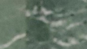 Nayib Bukele no asistió a la Asamblea General de la ONU por primera vez en seis años