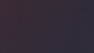 Nicole Kidman y Keith Urban se conocieron en enero de 2005