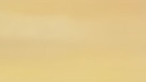 Venezuela anuncia el retorno de cuatro niños desde EE.UU. y agradece a Melania Trump por su mediación