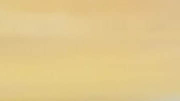 Venezuela anuncia el retorno de cuatro niños desde EE.UU. y agradece a Melania Trump por su mediación