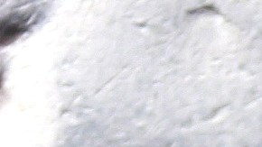 numismatica-dime-centavo-10-centavos