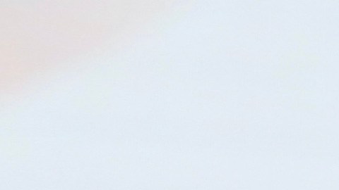 El representante de Pablo Montero justificó la cancelación del show asegurando que al cantante le habían surgido proyectos imposibles de rechazar.