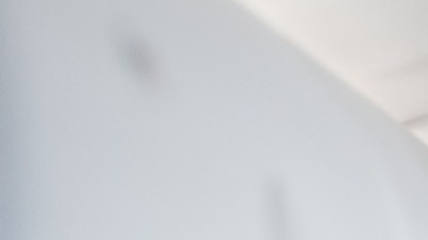 El precio del permiso ESTA para viajar a EE.UU. se duplica a partir del 30 de septiembre