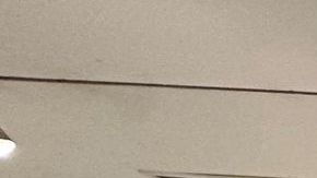 Algunas de la piezas arqueológicas  recuperadas y exhibidas en el consulado general de México.