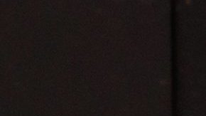 proyecto-de-ley-beneficios-snap