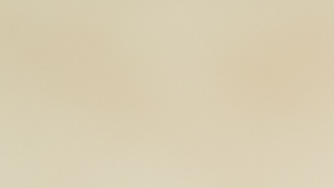 La reina pepiada surgió en 1955 en honor una reina de belleza.