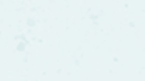 Es impresionante como anhelamos la perfección de nuestros cuerpos para mirarnos como modelos o celebridades.