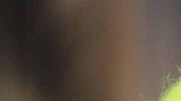 Suspenden de por vida a tenista tailandés por amañar partidos.