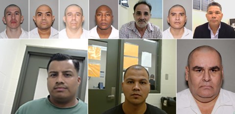 Fotografías divulgadas por ICE de algunos de los inmigrantes arrestados tras el operativo en Texas.