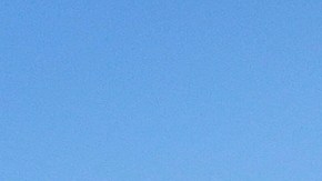 Hasta esta fecha venezolanos podrán renovar el TPS para vivir y trabajar legalmente en EE.UU.