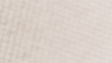 Por esta visa ahora tendrás que pagar $100,000 dólares cada año tras decisión de Trump