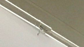 walmart-examenes-de-salud-gratis