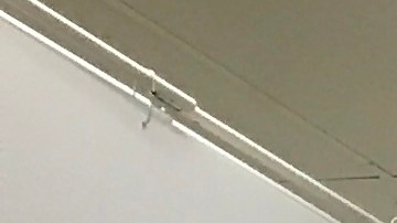 walmart-examenes-de-salud-gratis