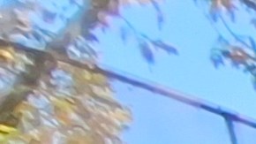 Los tambores sonaron en  'City As Schools' en el Bajo Manhattan.