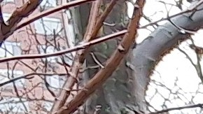 Se estima que la velocidad promedio que los ciclistas experimentan es precisamente el doble de lo ahora permitido.