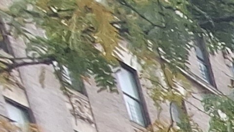 La participación en estos comicios ha sido cuatro veces mayor que en la pasada consulta municipal donde resultó electo Eric Adams