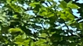 Mayoría de neoyorquinos apoya propuesta de Mamdani de aumentar salario mínimo a $30