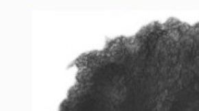 Pritchett, niño desaparecido en Brooklyn (NYC), y foto de su supuesta madre, Jacqueline Pritchett.