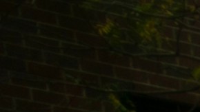 Frente unido en NYC contra consulta electoral sobre vivienda en las elecciones del 4 de noviembre