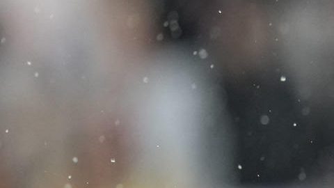 El centrocampista del FC Barcelona Frenkie de Jong (i) protesta una acción durante el partido de la jornada 9 de LaLiga EA Sports, entre el FC Barcelona y el Girona FC, en el estadio Olímpico de Montjuic, en Barcelona.