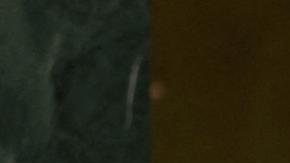 Su destitución se debió a la "permanente incapacidad moral" para enfrentar la creciente inseguridad ciudadana y el auge del crimen organizado.