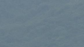 Los cuatro tripulantes del carguero resultaron ilesos.