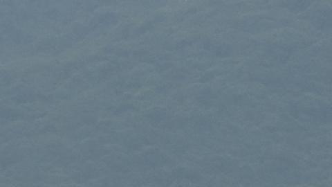 Los cuatro tripulantes del carguero resultaron ilesos.