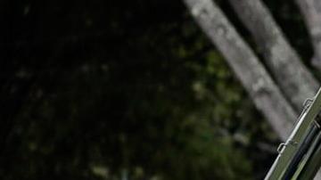 ¿De qué fuerzas dispone realmente el Ejército de Venezuela y con qué aliados internacionales podría contar el país?