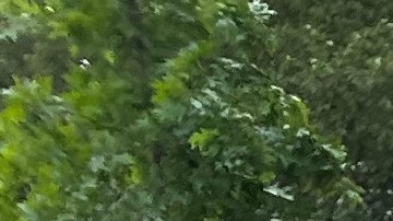 Más del 67% de los neoyorquinos respaldan preguntas en elecciones sobre cambios en normas de vivienda