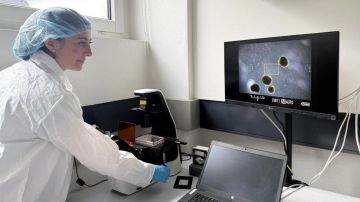 Biocomputadoras
