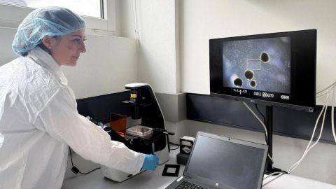 Biocomputadoras