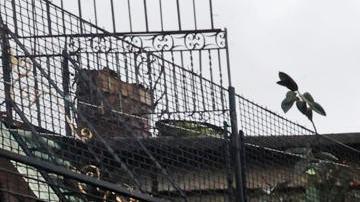Fotografía de una calle afectada por el paso del huracán Melissa este miércoles, en Santiago de Cuba (Cuba).