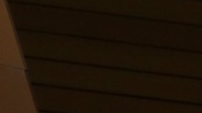 "ICEBlock, hemos eliminado junto con aplicaciones similares de la App Store", confirmó la empresa.