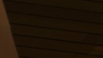 "ICEBlock, hemos eliminado junto con aplicaciones similares de la App Store", confirmó la empresa.