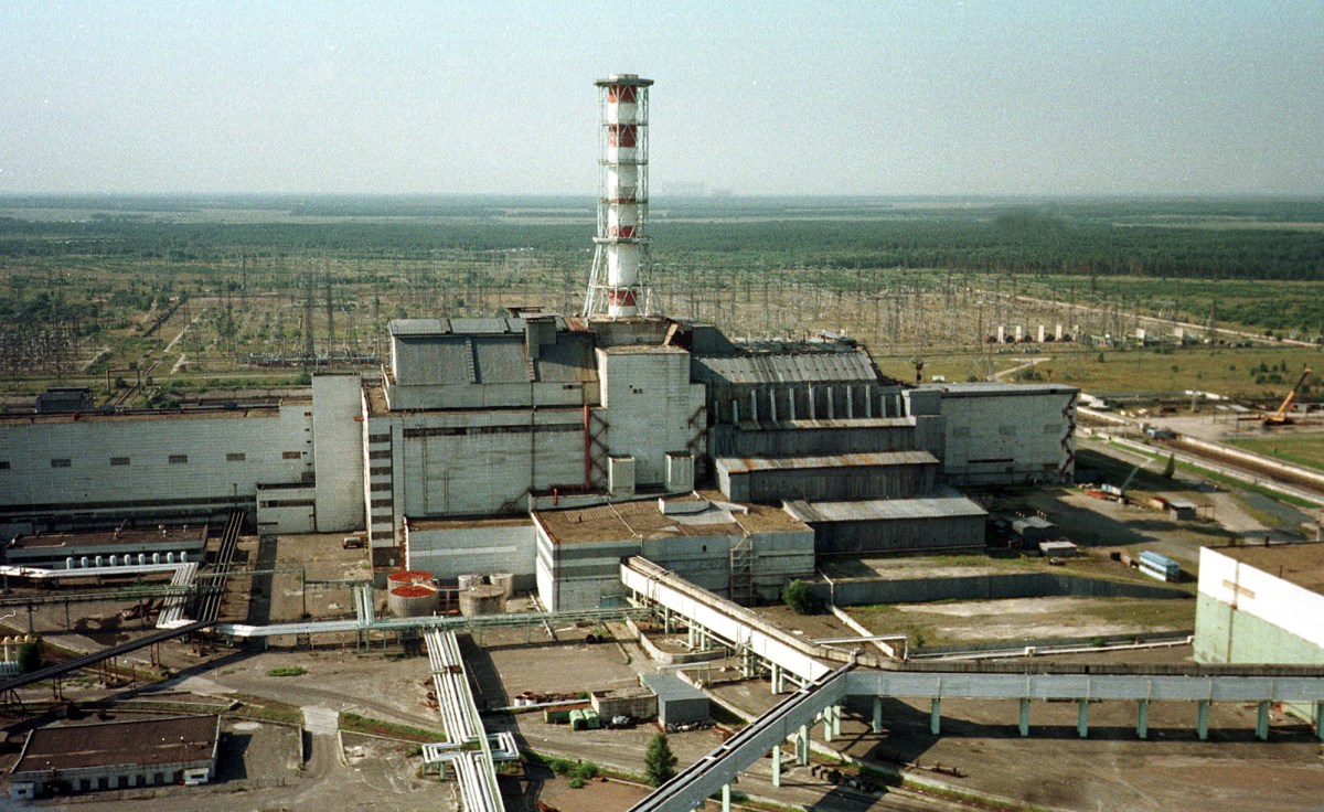 Estudio sugiere que los perros de Chernobyl están experimentando una rápida evolución