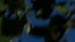 "Tuvimos un rezagado, era España", declaró Trump en el Despacho Oval.