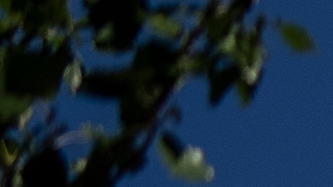"Tuvimos un rezagado, era España", declaró Trump en el Despacho Oval.