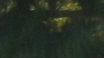 Excavadoras rompieron la fachada del ala este de la Casa Blanca.