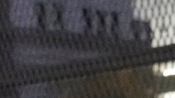 ACLU al enterarse de la situación, calificó la acción de ICE como una "violación flagrante de una orden judicial federal".