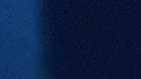 Leavitt indicó que "no podía brindar de momento más detalles".