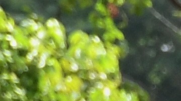 Padrino López manifestó que no quiere producir "alarmismo", sino "imprimir realismo a la situación"