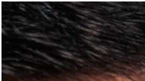 Tony Janzen Valverde Victoriano, alias Pequeño J fue capturado en una ciudad cerca de Lima.