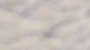 "¿Le concederías un indulto a Netanyahu?", preguntó Trump a Herzog durante su intervención.