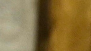 "Ahora mi objetivo es que China haga lo mismo", agregó Trump