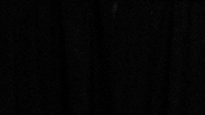 Afrikáners fueron reubicados en Estados Unidos en dos grupos en mayo y junio.