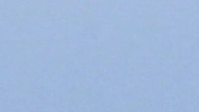 Las autoridades informaron que probablemente el accidente fue ocasionado por un neumático reventado.