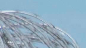 Los abogados apelarán la sentencia, ya que afirman tiene problemas de salud mental.